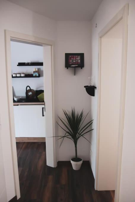 Schoene Wohnung Top Lage Koeln Work & Relax & Travel Frechen Exterior foto